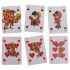 Kama Sutra - Jeu de cartes humoristique français - 24 pièces