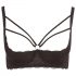 Cottelli Plus Size - soutien-gorge à bretelles et anneau (noir) - 90D