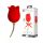 Pretty Love Rose Lover - stimulateur clitoridien 2 en 1 avec langue (rouge)