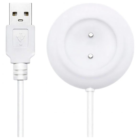 Câble de chargement USB magnétique Lovense Ambi (blanc)